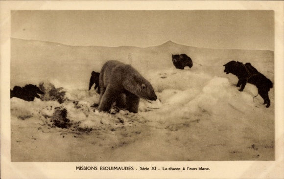 Postcard Missions Esquimaudes, polar bear hunting