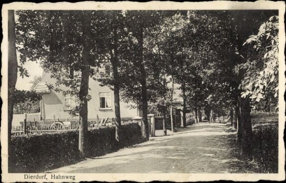 Postcard Dierdorf in the Westerwald, Hahnweg, Allee