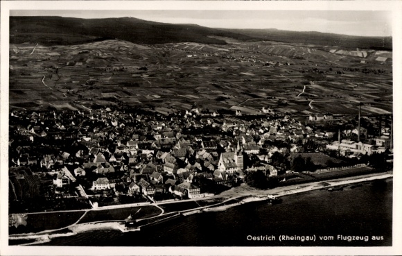 Ak Oestrich Winkel am Rhein Rheingau, Luftaufnahme, Stadtansicht von Oestrich, Weinberge im Hinte