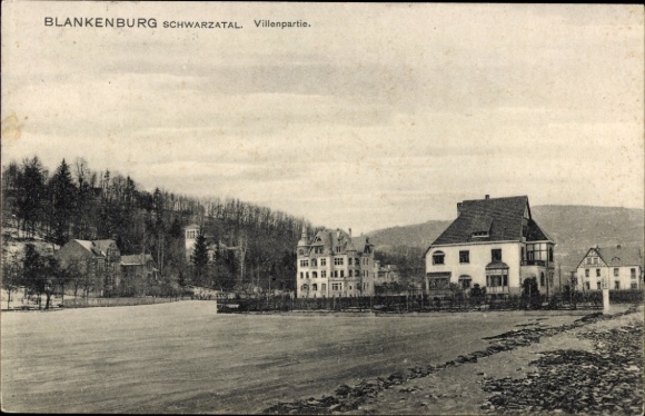 Ak Blankenburg am Harz, Schwarztal, Villenpartie, Landschaft mit Gebäuden, Fluss