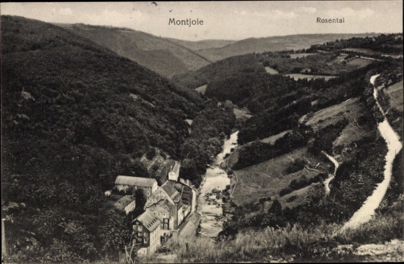 Ak Monschau Montjoie in der Eifel,  Rosental, Flusslandschaft, Berge, 