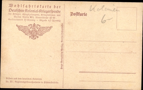 Postcard government ostrich farm in South West Africa, pictures from the German colonies, colonial warrior donation