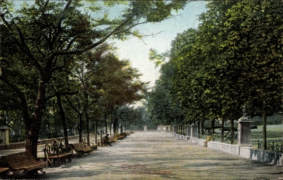 Postcard Gibraltar, Alameda Gardens, benches