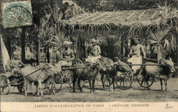 Ak Paris, Jardin d'Acclimatation, Indische Karawane, Ochsenfuhrwerke
