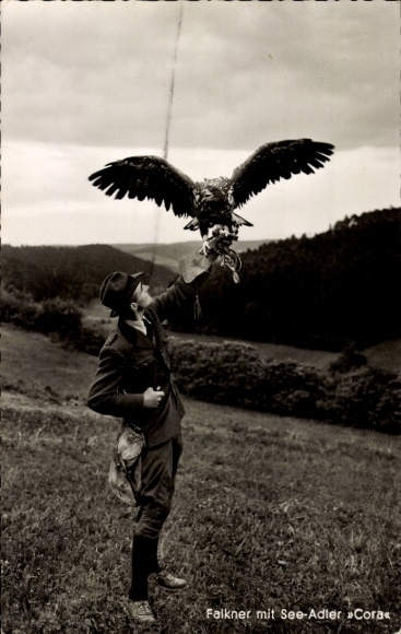 Ak Nagold im Schwarzwald, Falkenhof Walddorf, Falkner mit Seeadler Cora