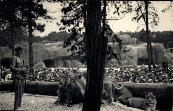 Ak Paris XII Bois de Vincennes, Zoologischer Garten, Löwen, Tierpfleger, Zuschauer