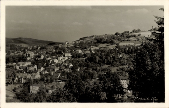 Ak Sebnitz Sächsische Schweiz, Panoramaansicht von  viele Häuser, bewaldete Hügel