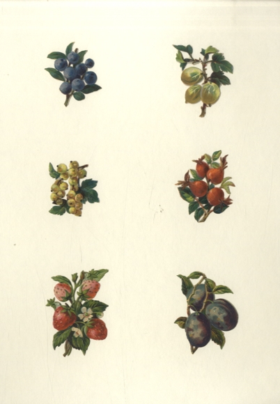 6 Oblaten Beeren, Pflaumen, Hagebutten, ca. 6 x 4,5 cm und 4 x 4 cm