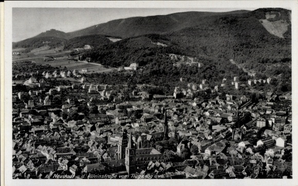 Ak Neustadt an der Weinstraße, Stadtansicht, Weinberge,  Architektur