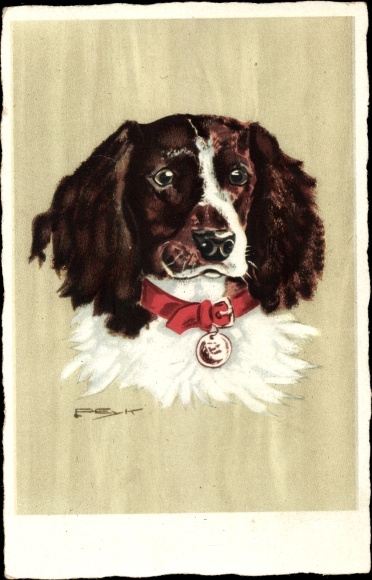 Artysta KP Peyk, Hilla, Nasi faworyci, Munsterlander, Portret psa