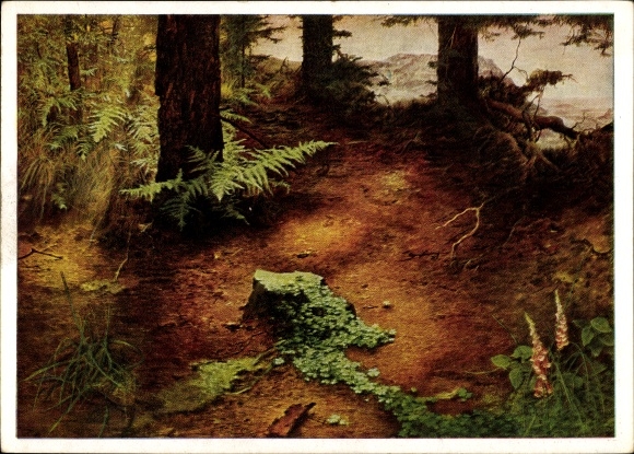 Artist PC Kriegel, Willy, evening sun in the forest, HDK 262