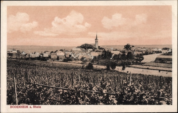 PC Bodenheim in Rheinhessen, total view