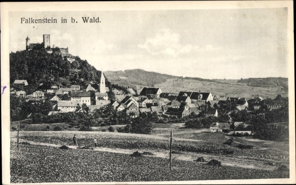 Ak Falkenstein in der Oberpfalz, Panorama mit Burg