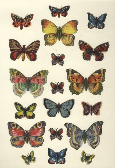 19 Oblaten schöne Schmetterlinge, ca. 5 x 7 cm bis 2 x 2,5 cm