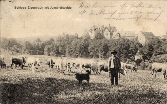 Postcard Lauterbach in Hessen, Eisenbach Castle, young cattle pasture