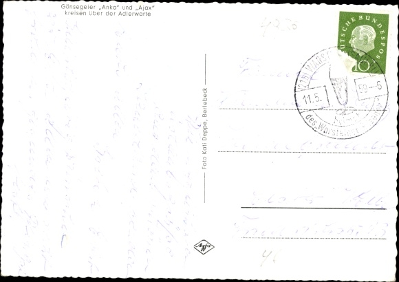 Postcard Berlebeck Detmold in the Teutoburg Forest, Adler Warte, Adler, Griffon Vulture Anka and Ajax