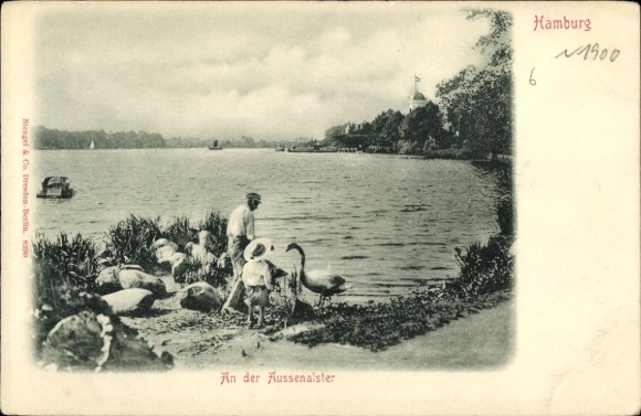 Postcard Hamburg Nord Uhlenhorst, waterfront at the Outer Alster, swan