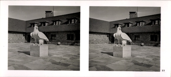 Stereo image photo "German Sculpture of Our Time", No. 77 Eagle, courtyard of the Ordensburg Vogelsang