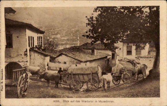 KP Wardartal Vardartal Macedonia, impreza wiejska, wozy bydlęce