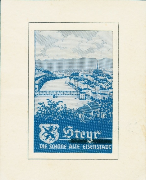 Silk PC Steyr in Upper Austria, total view