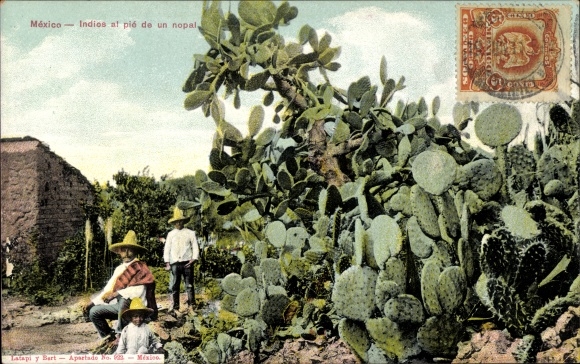 Postcard Mexiko, Indians at the foot of a cactus