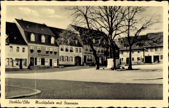 Postcard Strehla on the Elbe Saxony, market square, buildings, trees