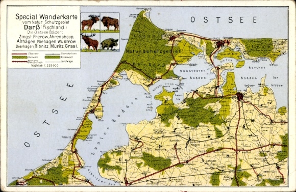 Maps Postcard Ostseebad Prerow on the Darß, special hiking map, Saaler Bodden, Zingst, Fischland