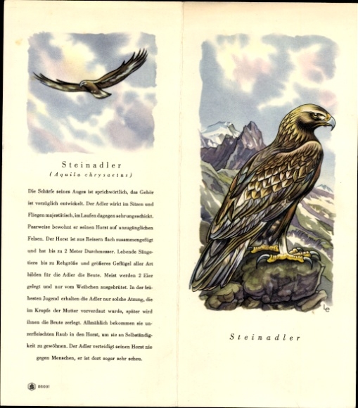 Timetable Neue Sparkasse from 1864, Hamburg Ferdinandstraße, golden eagle around 1960