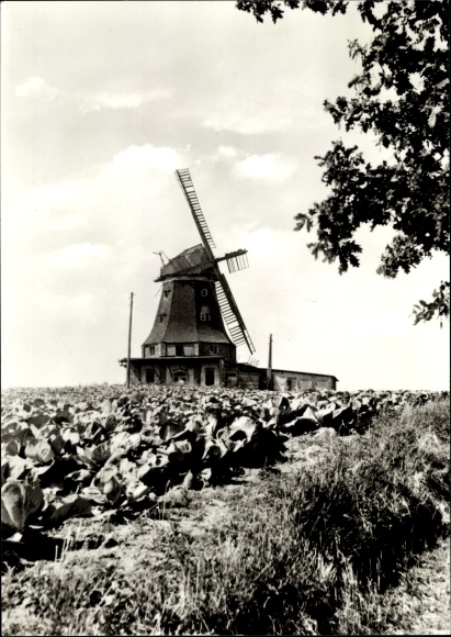 Postcard Klütz in Mecklenburg, windmill