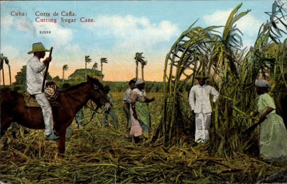 Postcard Kuba, Corte de Cana, Cutting Sugar Cane