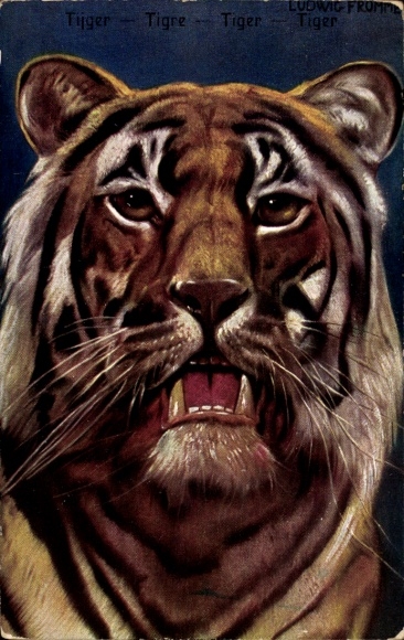 Artist Postcard Fromme, Ludwig, Tiger, Animal portrait