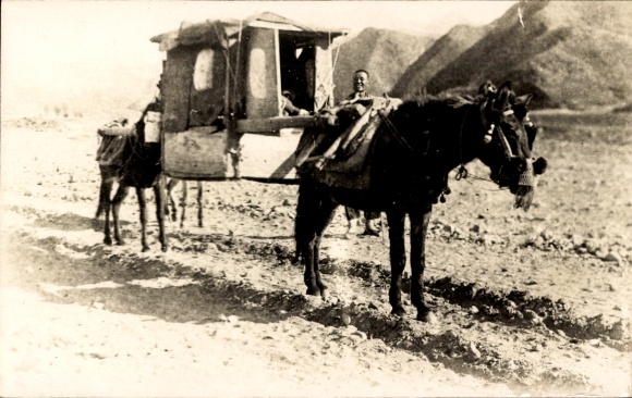 Photo Postcard China, horses carrying a sedan chair