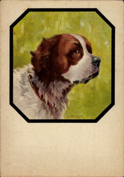 Artist Postcard Merker, W., St. Bernard, dog portrait