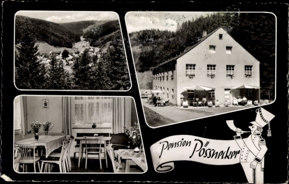 Postcard Dürrenwaid Geroldsgrün Upper Franconia, Pension Pössnecker, partial views