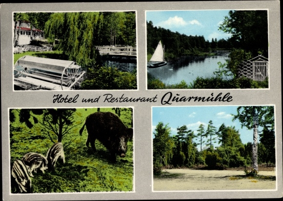 Postcard Habighorst in Lower Saxony, hotel and restaurant Quarmühle, sailing boat, wild boar