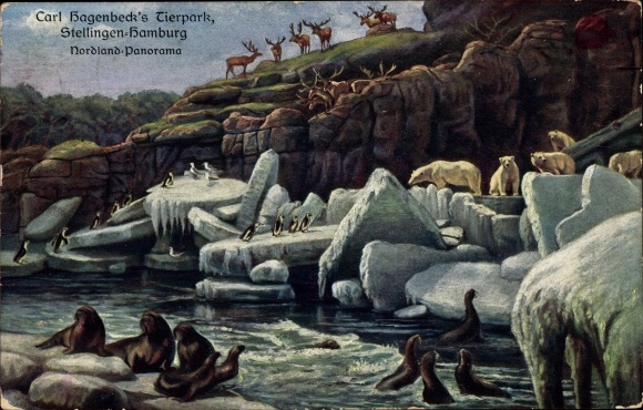 PC Hamburg Eimsbüttel Stellingen, Carl Hagenbeck&#39;s Zoo, Nordland Panorama, polar bears, seals