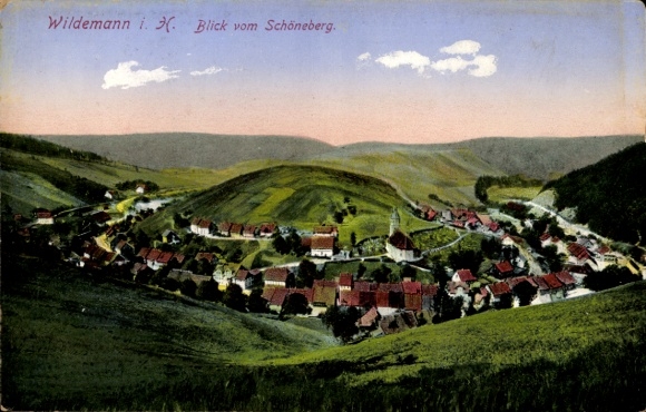 Ak Wildemann Clausthal Zellerfeld im Oberharz, Blick vom Schöneberg