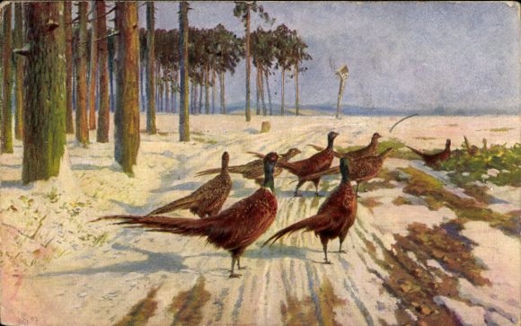 Artist Postcard Forest Part, Pheasants
