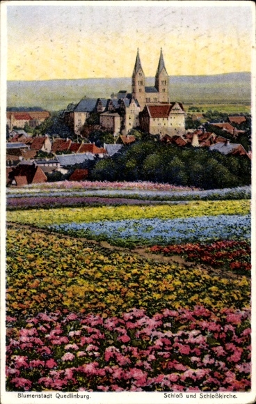 Ak Quedlinburg in het Harzgebergte, bloemenstadkasteel, slotkerk, bloemenvelden