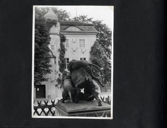 Photo album Spandau, Alt-Berlin, Pfaueninsel, late 1950s, city history, post-war