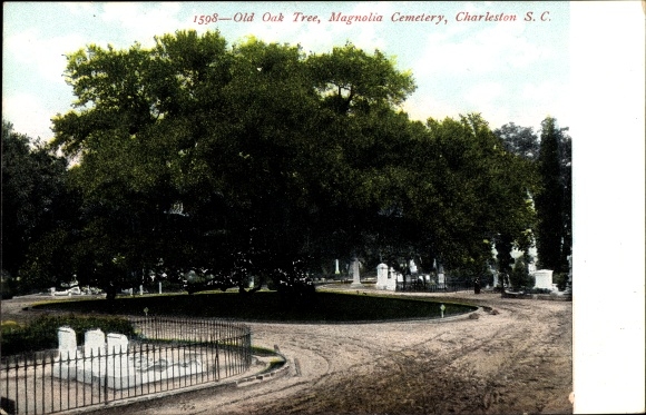 Ak Charleston Zuid-Carolina de V.S., Oude Eikenboom, Magnolia-Begraafplaats