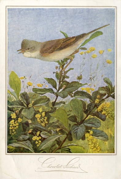 Menükarte, Cacao Suchard, 6. August 1926, Menü