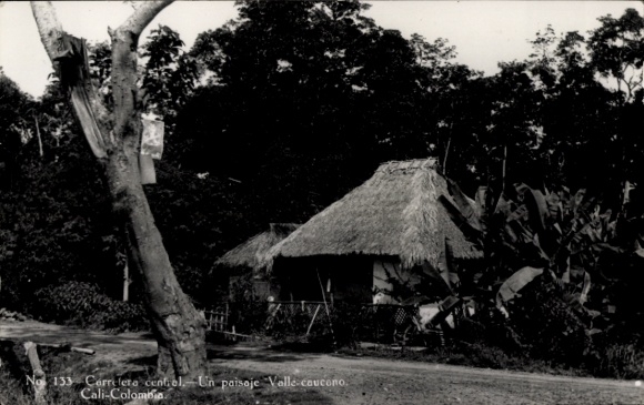 Photo Postcard Cali Colombia Colombia, thatched roof hut