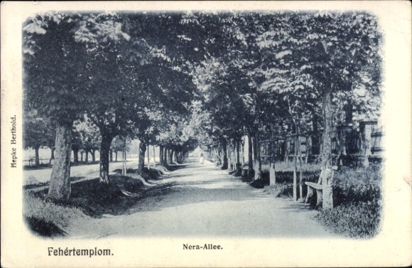 KP Bela Crkva Fehértemplom Weisskirchen Serbia, Nera Avenue, drzewa, ścieżka, Mepke Berthold