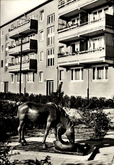 Postcard Berlin Treptow Adlershof, Neltestraße, horse statue