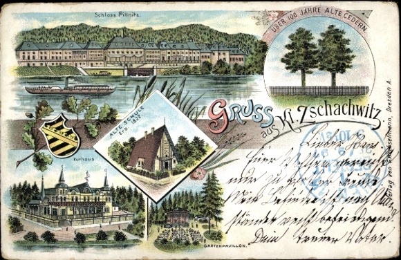 Chromo-Litho Dresden Kleinzschachwitz, cedars, Pillnitz Castle, school, spa house