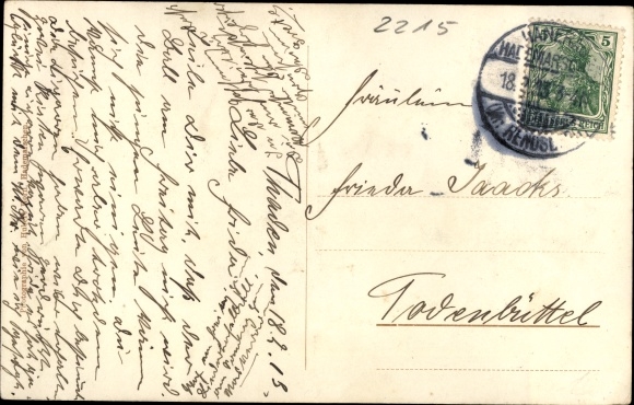 Ak Thaden in Holstein, herberg, tuinfeest