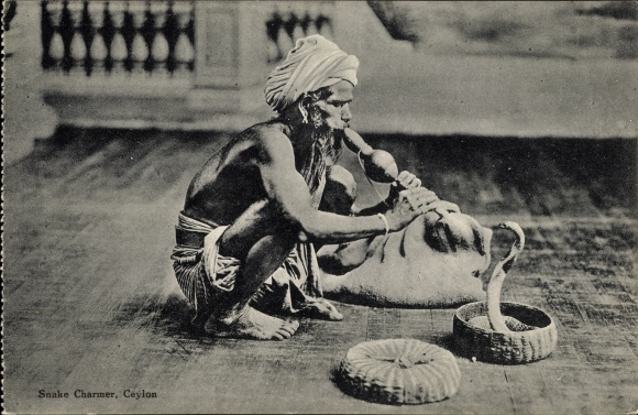Postcard Ceylon Sri Lanka, Snake Charmer, Snake Charmer