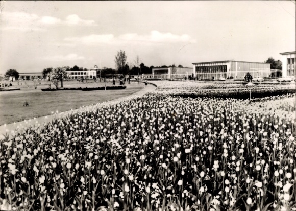 Ak Erfurt in Thüringen, iga 1961, großes Blumenbeet