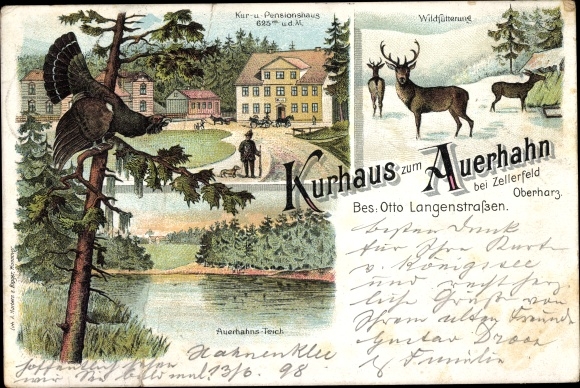 Litho Clausthal Zellerfeld Oberharz, Kurhaus Auerhahn, Hirsche im Schnee, Auerhahnsteich, Auerhahn